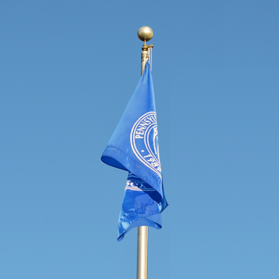 PCT Flag 1