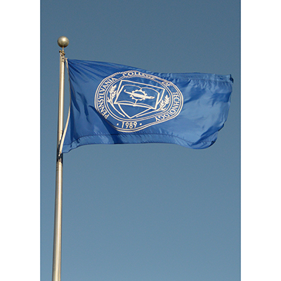 PCT Flag 2